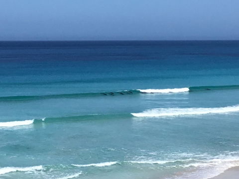 Beach Barista - Accommodation Directory 1