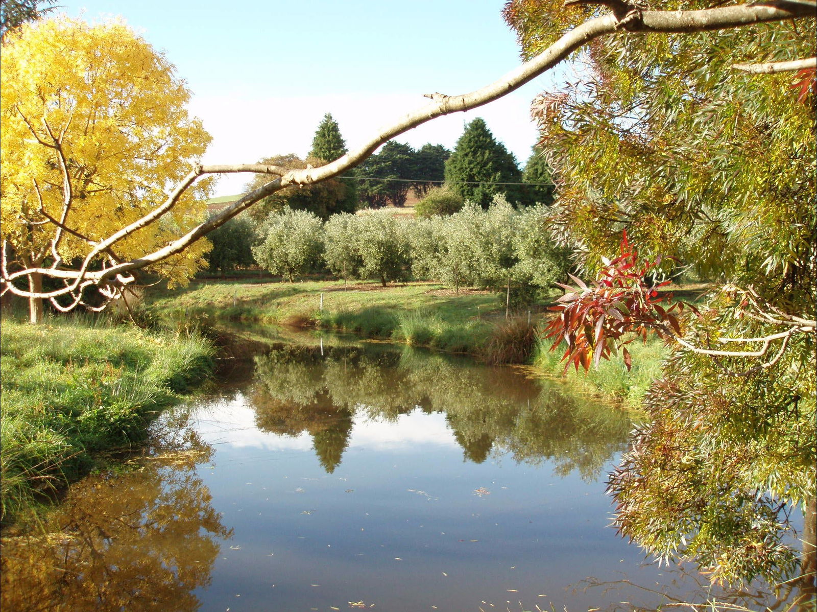 North Motton TAS Accommodation Directory