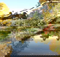 Cradle Coast Olives - Accommodation Directory