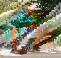 Enjoy Inn - Ascot  Hamilton - Accommodation Directory