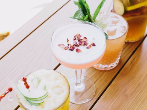 Opera Bar - Accommodation Directory 1