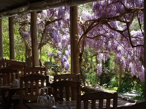Skillogalee Winery & Restaurant - Accommodation Directory 2