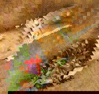 Soul Origin - Indooroopilly - Accommodation Directory