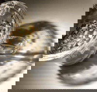 T Totaler - Newtown - Accommodation Directory