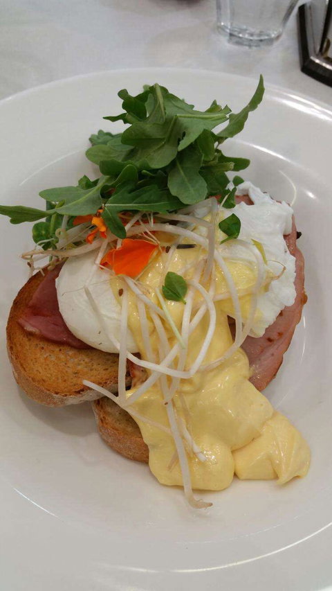 Vida Espresso - Accommodation Directory 0