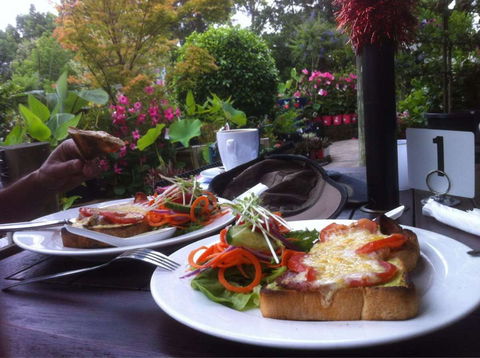 Wyee Nursery Cafe - Accommodation Directory 0