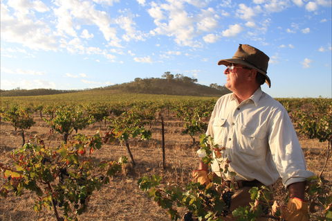 Sally's Paddock At Redbank Winery - Accommodation Directory 2