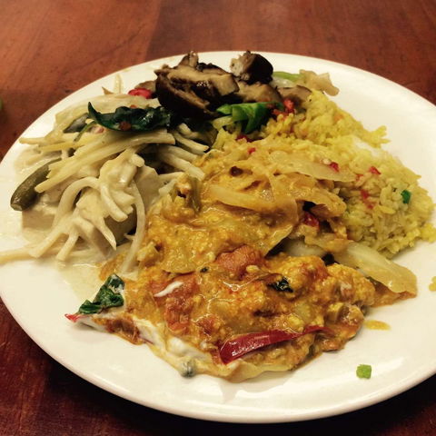 Blossoming Lotus - Newtown - Accommodation Directory 0