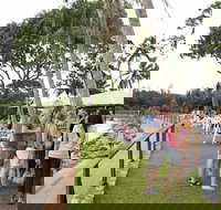 Darwin Ski Club - Accommodation Directory