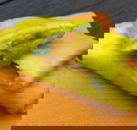 House Of Canton - Accommodation Directory