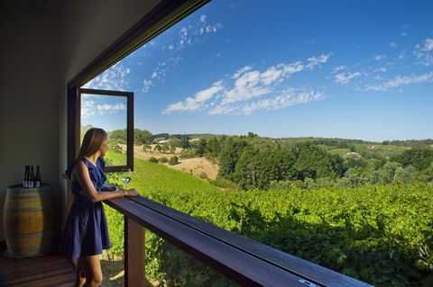 Mt Lofty Ranges Vineyard - Accommodation Directory 0