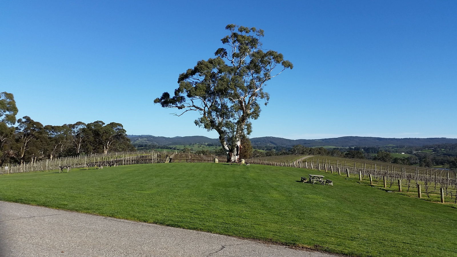 Accommodation Directory