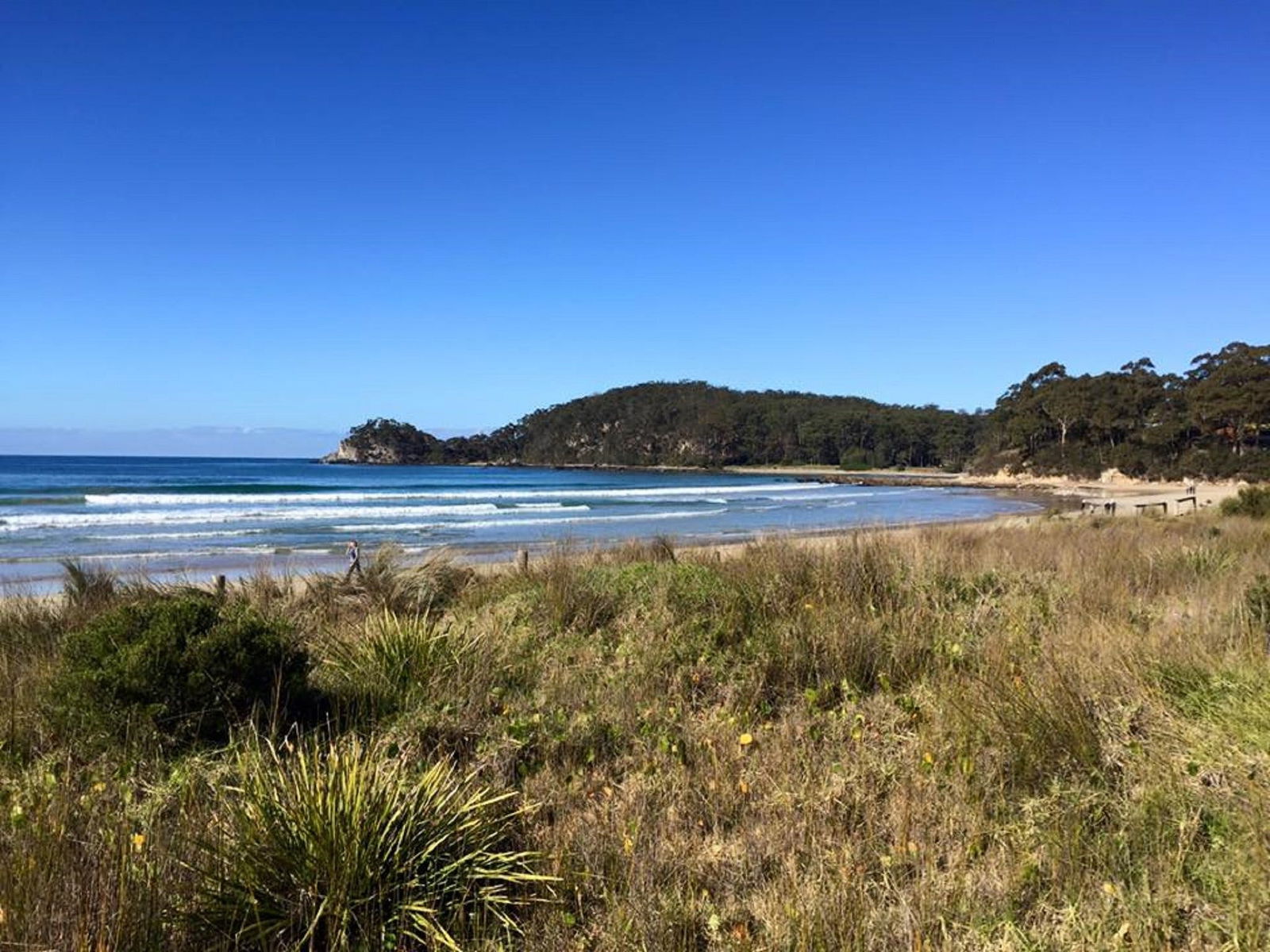 Surf Beach NSW Accommodation Directory