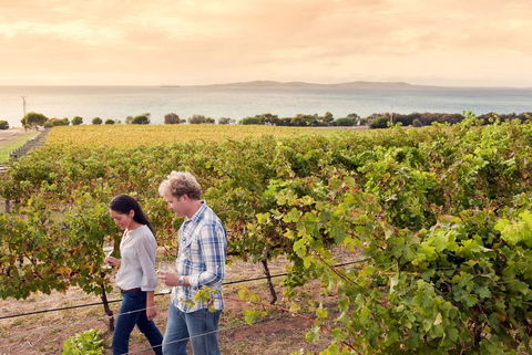 Boston Bay Wines - Accommodation Directory 0