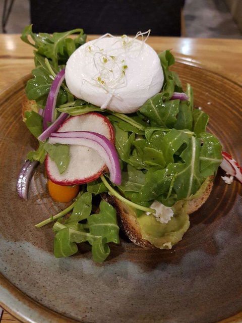 Cicco Bar - Hurstville - Accommodation Directory 0