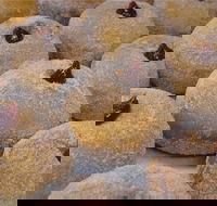 Miami Bakehouse Mandurah - Accommodation Directory