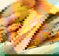 Mrs. Fields - Cockburn Gateway - Success - Accommodation Directory