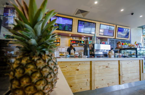 Raw Energy Springfield - Accommodation Directory 1