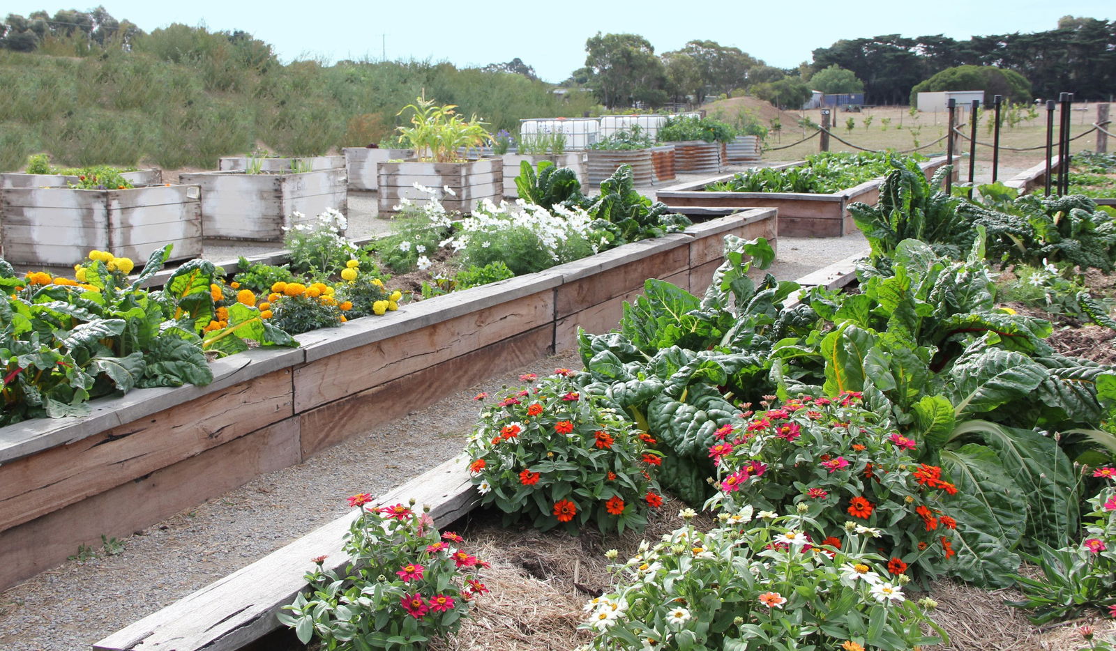 Freshwater Creek VIC Accommodation Directory