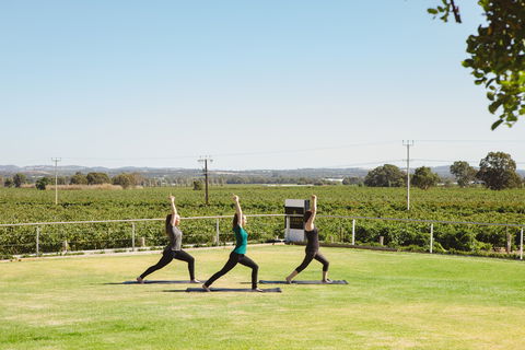 Calabria Family Wines Barossa - Accommodation Directory 1