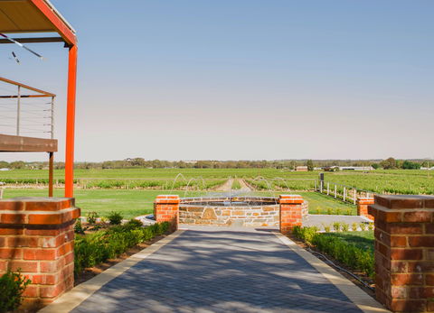 Calabria Family Wines Barossa - Accommodation Directory 2