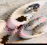 Gelatissimo - Hornsby - Accommodation Directory