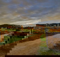 Baarmutha Wines - Accommodation Directory