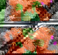 Sushi Izakaya Bar - Accommodation Directory