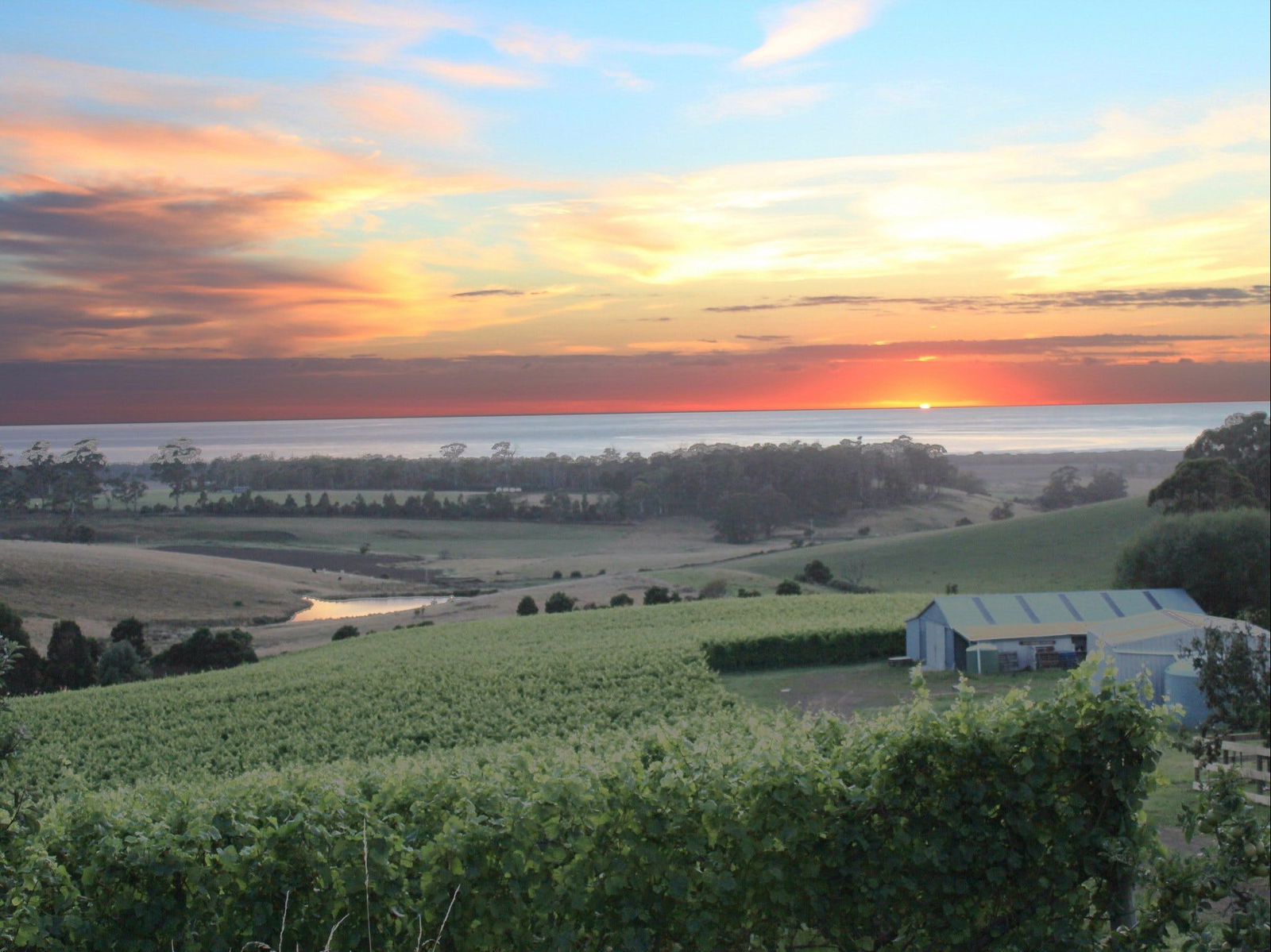 Marion Bay TAS Accommodation Directory