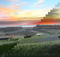 Cape Bernier Vineyard - Accommodation Directory