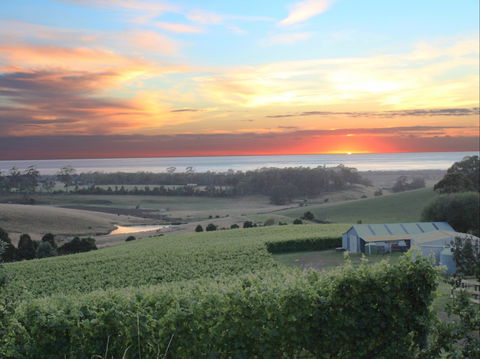 Cape Bernier Vineyard - Accommodation Directory 0
