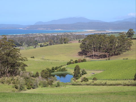 Cape Bernier Vineyard - Accommodation Directory 1