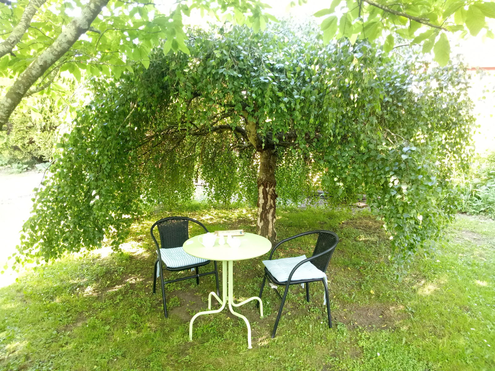 Mole Creek TAS Accommodation Directory