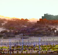 Howling Wolves Wines - Accommodation Directory