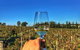 Lake's Folly Vineyard - thumb 1