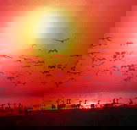 Airport Tavern - Darwin International Airport - Accommodation Directory