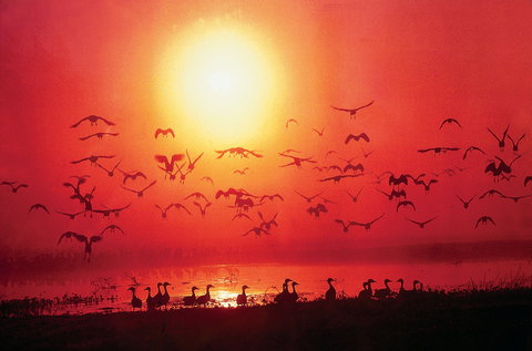 Airport Tavern - Darwin International Airport - Accommodation Directory 0