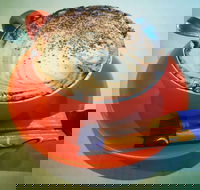 Arthur Radley - Accommodation Directory