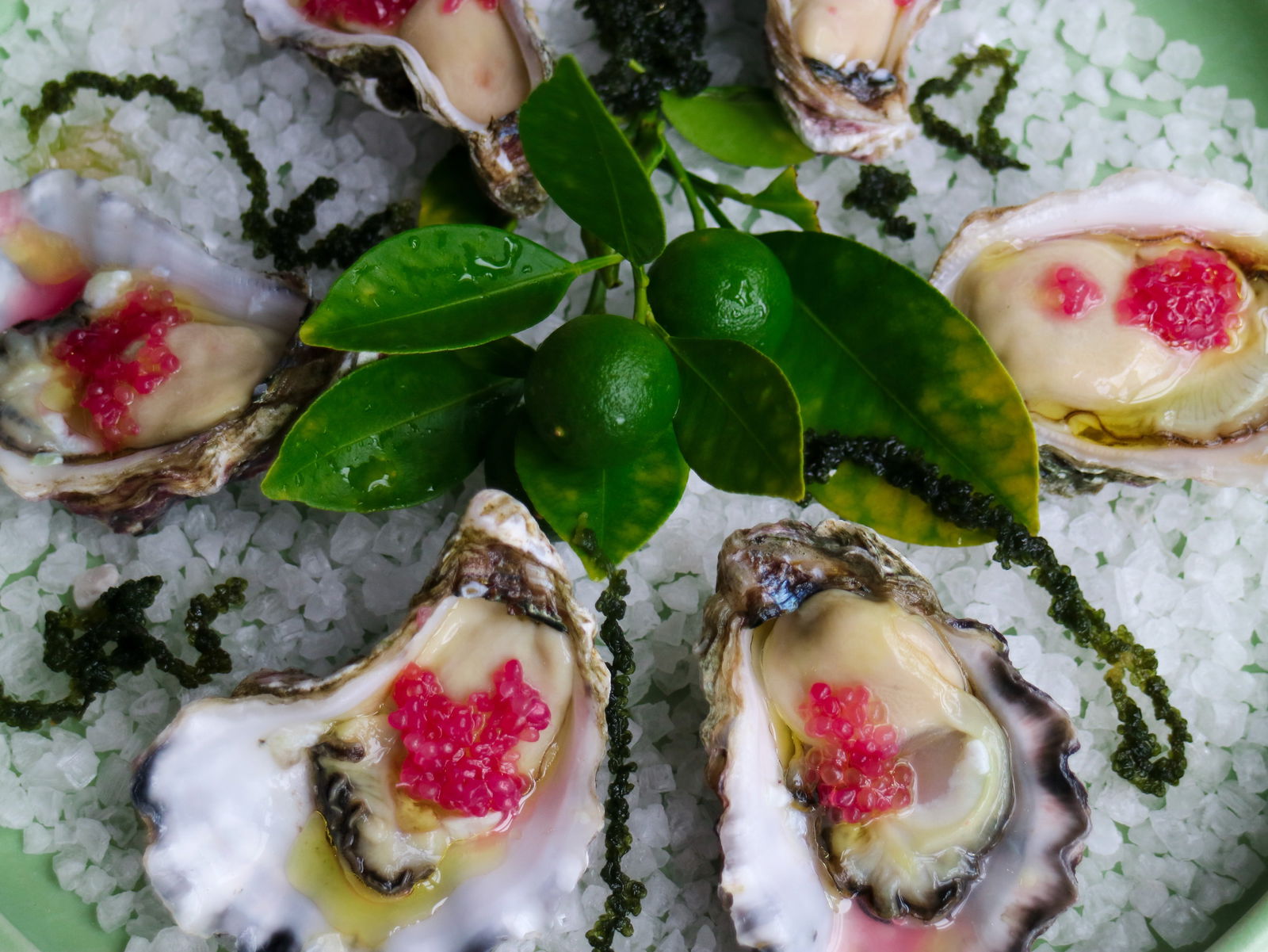 Gerringong NSW Accommodation Directory