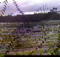 Darlington Vineyard - Accommodation Directory
