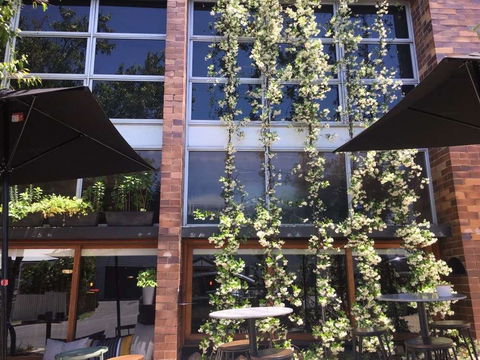 Quincy's Bar & Cafe - Accommodation Directory 0