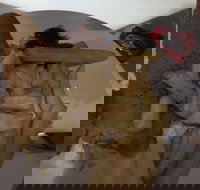 Tandoori Inn - Accommodation Directory