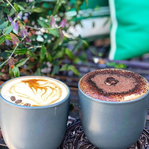 Who Shot The Barista - Accommodation Directory 0