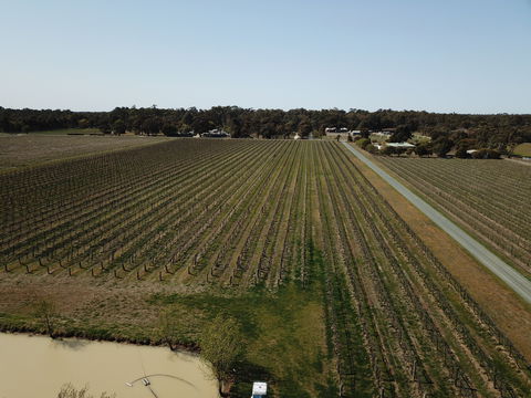 Wine In A Glass - Accommodation Directory 0