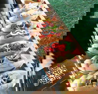 Balter Brewing Company - Accommodation Directory