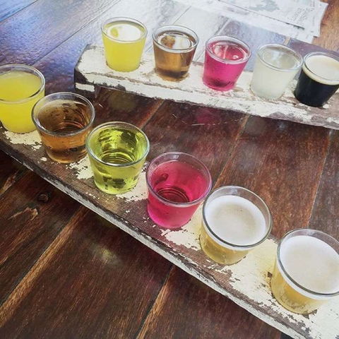 Bush Shack Brewery - Accommodation Directory 0