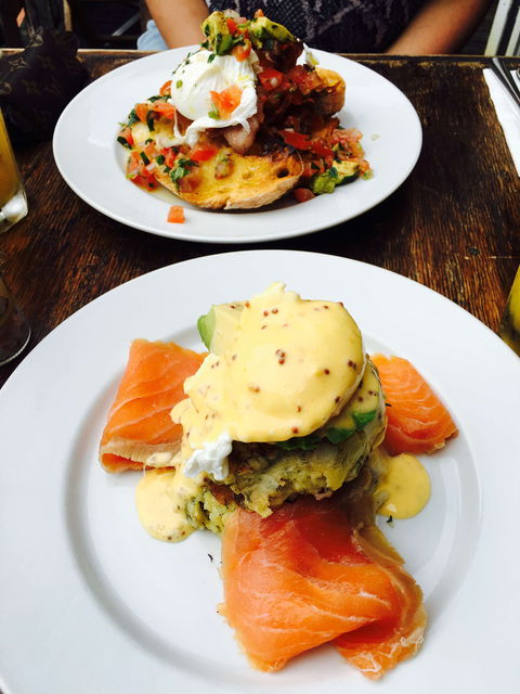 Cool Katz Cafe - Accommodation Directory 0