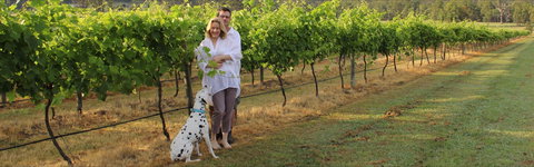 Greenway Wines - Accommodation Directory 1