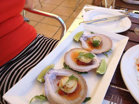 Sirocco Noosa - Accommodation Directory 0