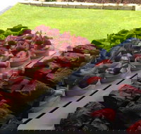 That Food Truck - Accommodation Directory